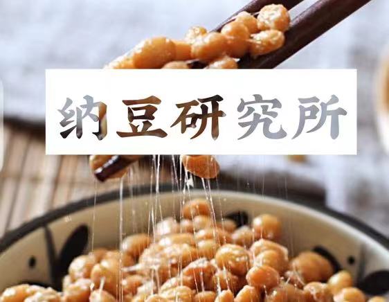 纳豆小知识——纳豆研究所