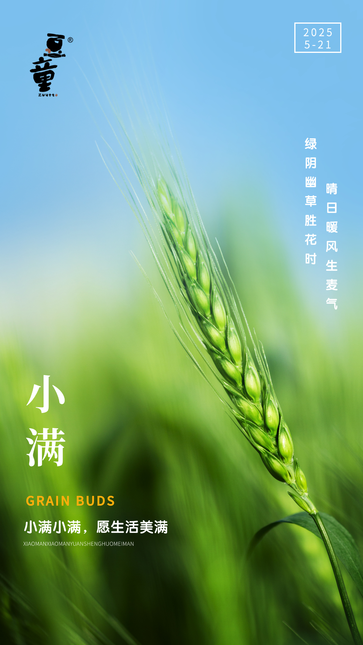 豆童 小满.jpg