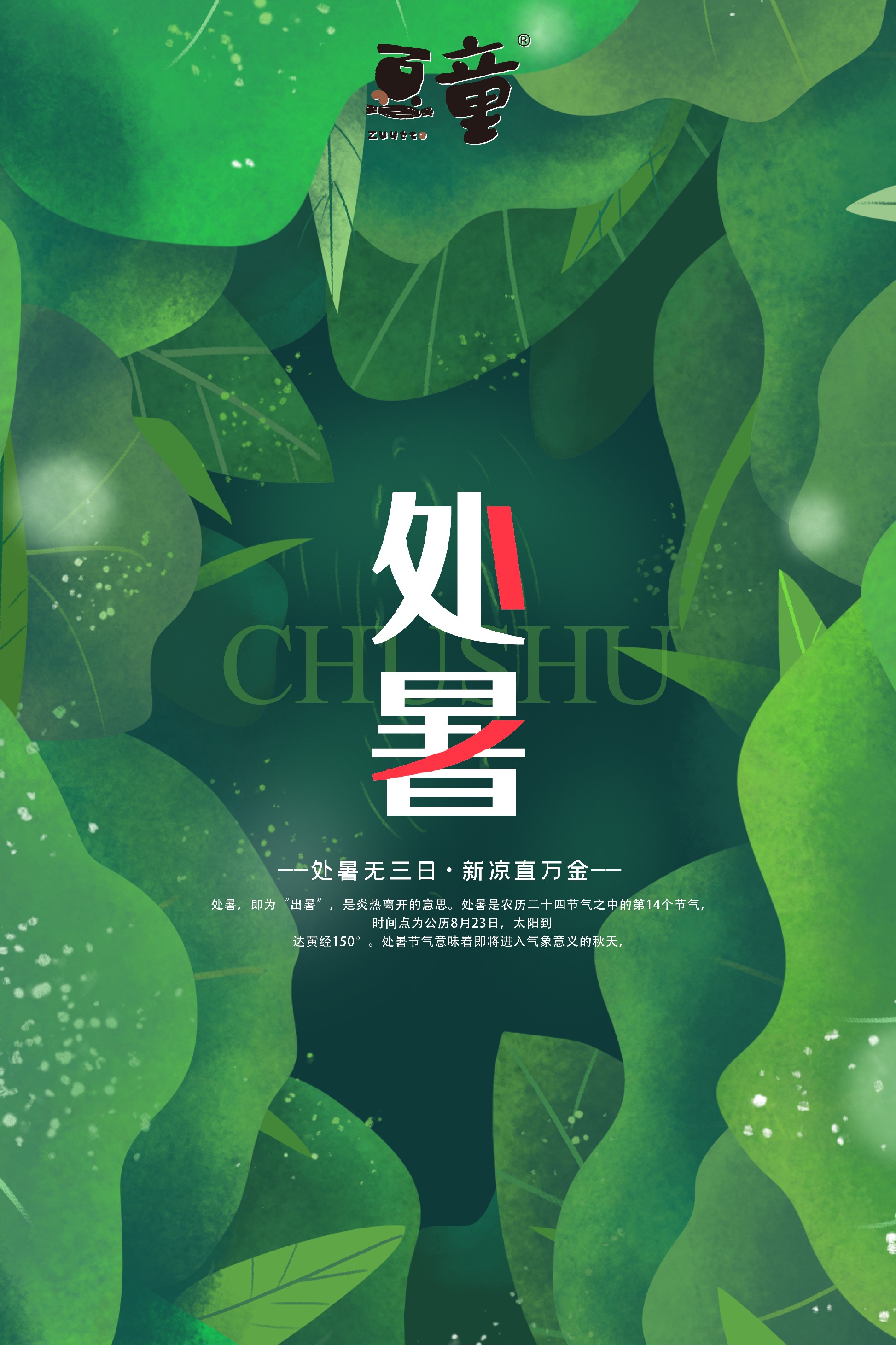豆童处暑.jpg